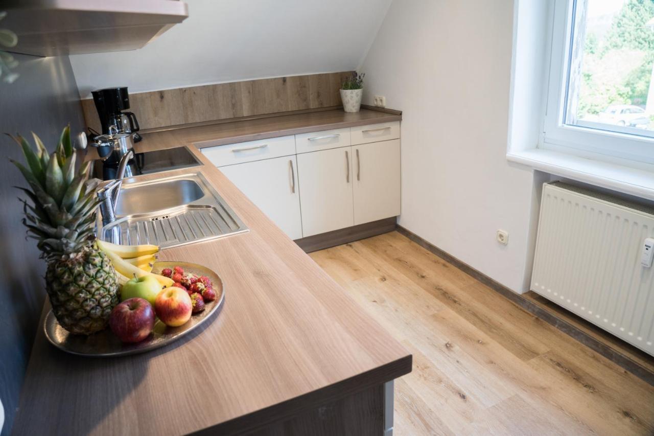 Urlaubsfreude Biedermann Haus Gluecksstein - Mondstein Apartment Bad Schandau Ngoại thất bức ảnh